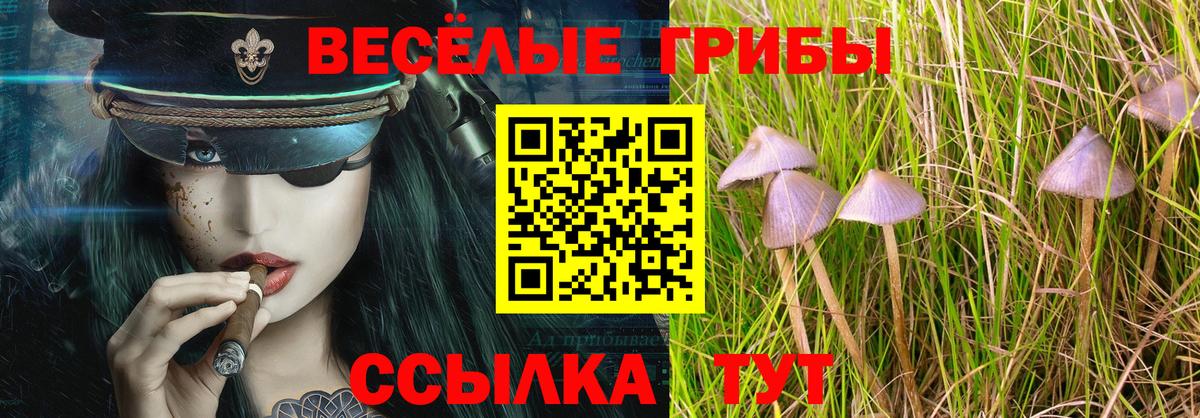Галлюциногенные грибы Psilocybine cubensis Джанкой